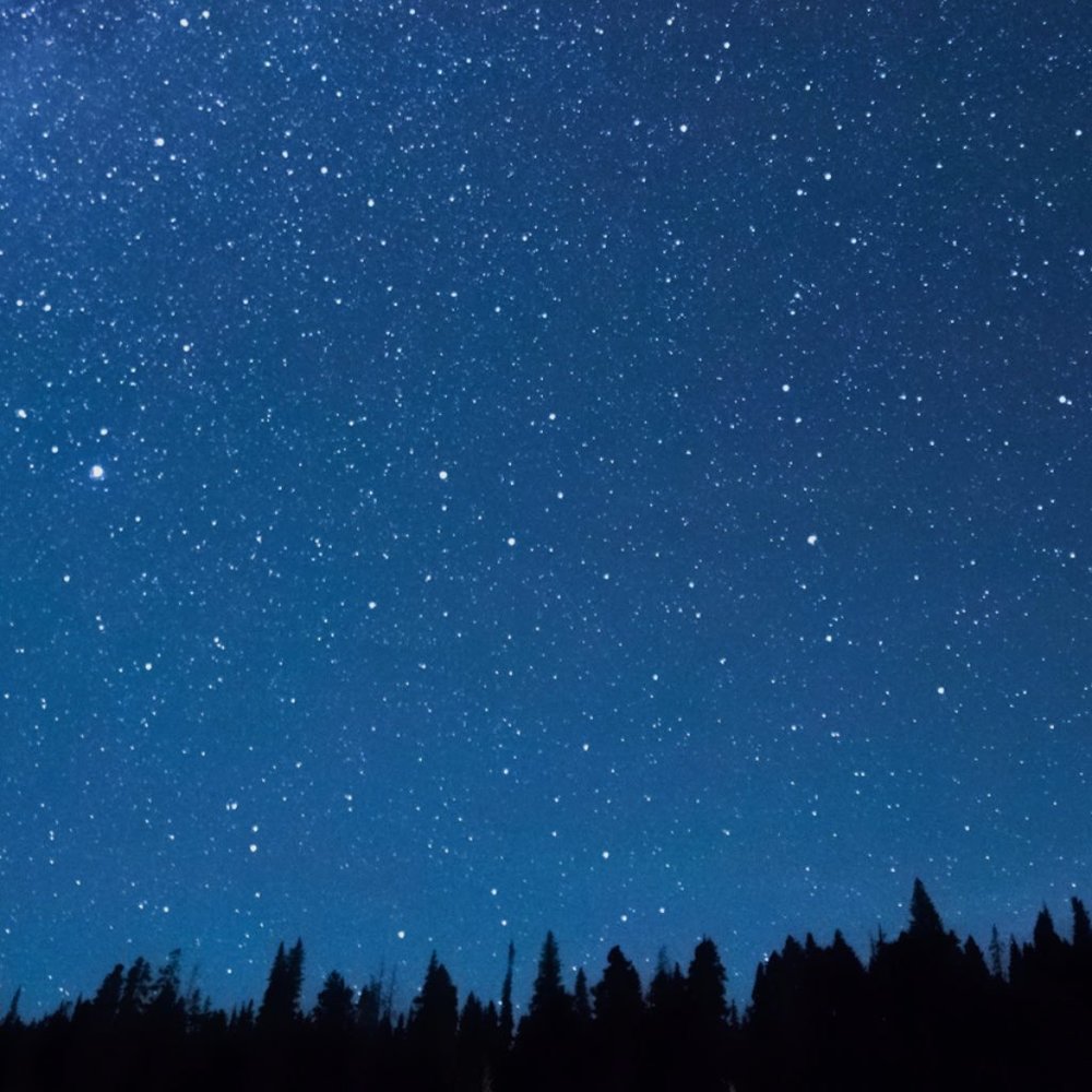 Meet your Posher, Jeff